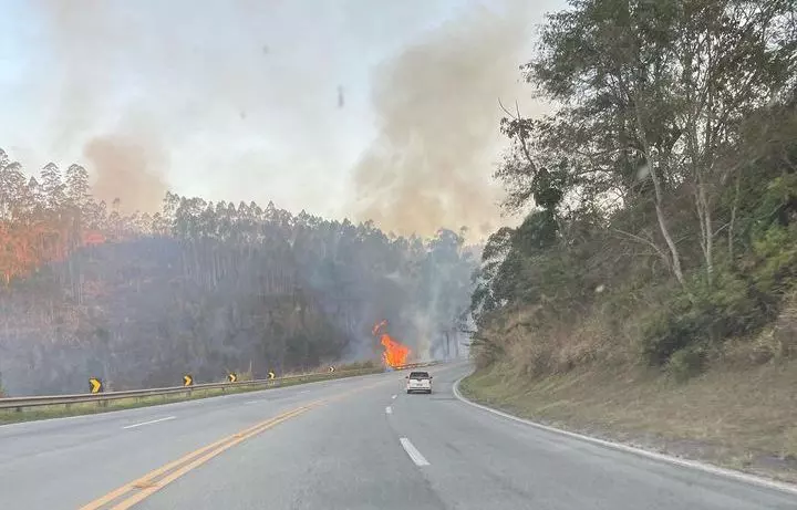 Concessionária registra 72 incêndios às margens da BR-040 em 20 dias